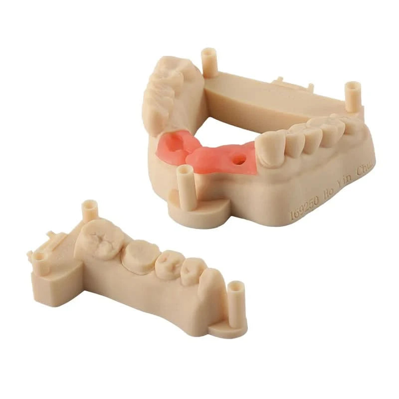 Resione Elastic Model Dentalharz Gießharz für 3D-Drucker für Elegoo Anycubic Harz 405nm UV Harz 3D-Drucker