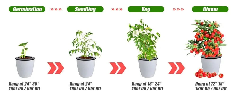 120W 240W Sam-ng LM301h Quantum LED Grow Light Board Lamp IR UV Full Spectrum Phytolamp For Plants Hydroponics MeanWell Driver