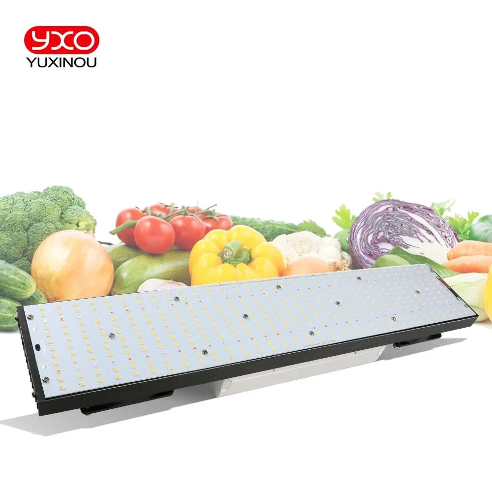 LM301H LED Grow Light V3 Board With Meanwell Driver 240W 480W 720W 3000K/3500K 660NM UV IR Growbox For Plants Veg Bloom