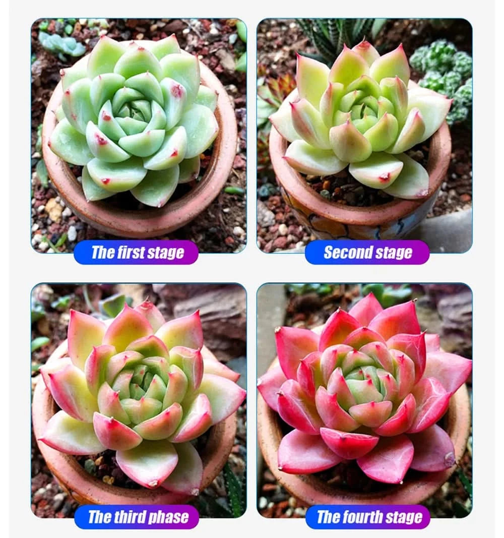 Full Spectrum 240W LED Grow Light Bar With Adjustable Brightness Suitable For Plant Growth At Different Flowering Periods