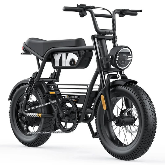 COSWHEEL Y16 Electric Bicycle 1000W Ebike 750W 15A Battery 16X4.0 Fat Tire Snow Beach Cruiser Steel Mountain Bike 16 Inches