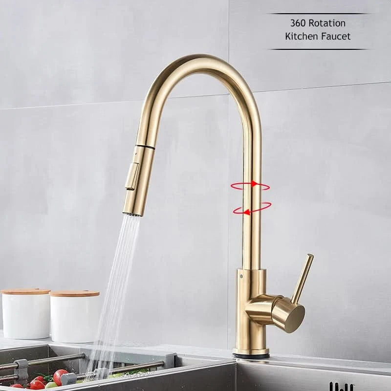 Wanmivezlo Pull Out Kitchen Faucets 360° Rotation Kitchen Mixer Tap Single Lever Mixer Tap Kitchen Sink Cold Hot Water Tap