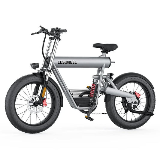 COSWHEEL T20 20AH Ultra-long-lasting Lithium Battery Capacity Food Delivery Electric City Bike 50km/h Long Distance Travel Adult
