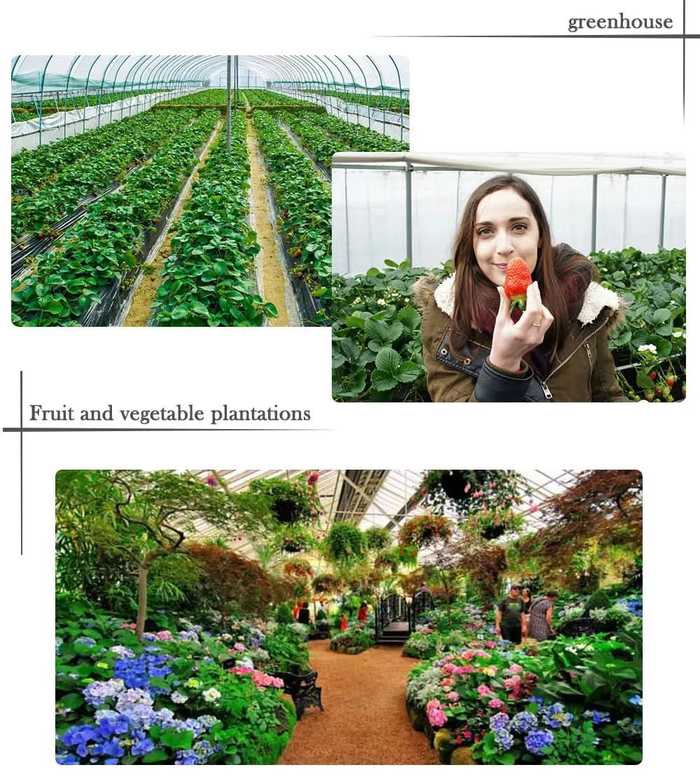 Full Spectrum 240W LED Grow Light Bar With Adjustable Brightness Suitable For Plant Growth At Different Flowering Periods