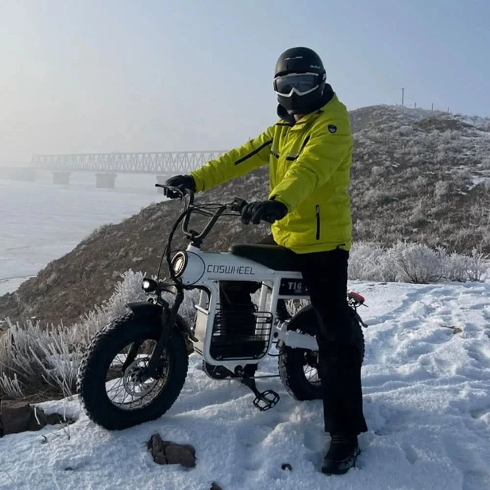 Ebike EU Lager Coswheel T16 Fatbike Elektro-Citybike Erwachsene 180mm Dual-Scheibenölbremsen Vollfederung Power E-Bike