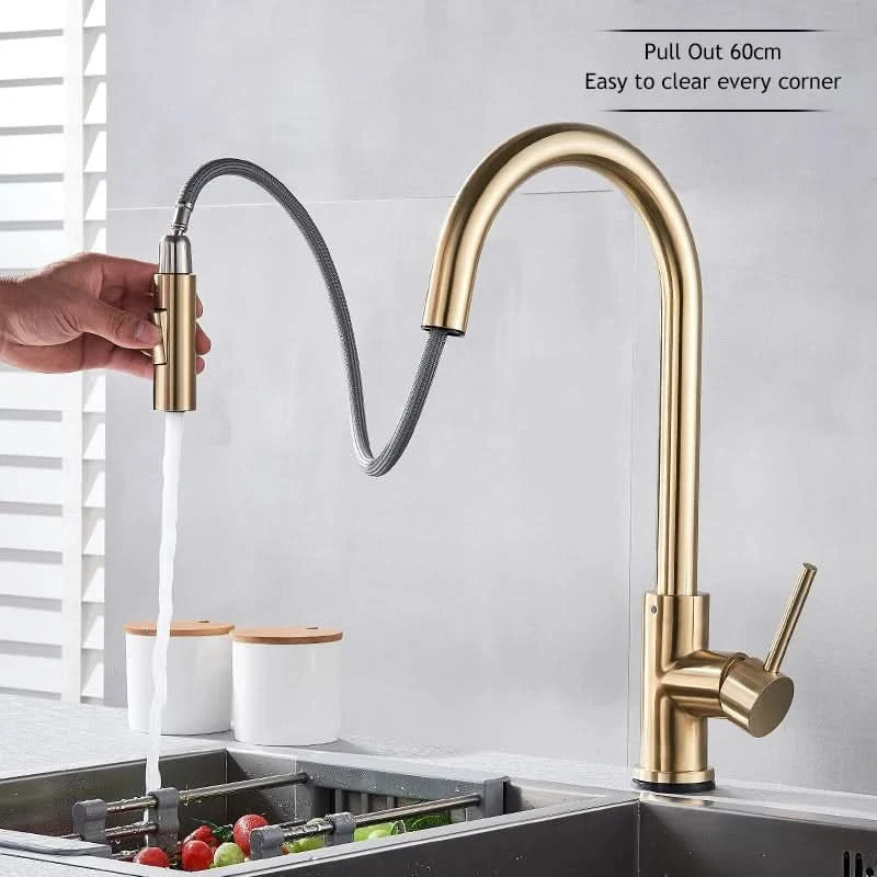 Wanmivezlo Pull Out Kitchen Faucets 360° Rotation Kitchen Mixer Tap Single Lever Mixer Tap Kitchen Sink Cold Hot Water Tap