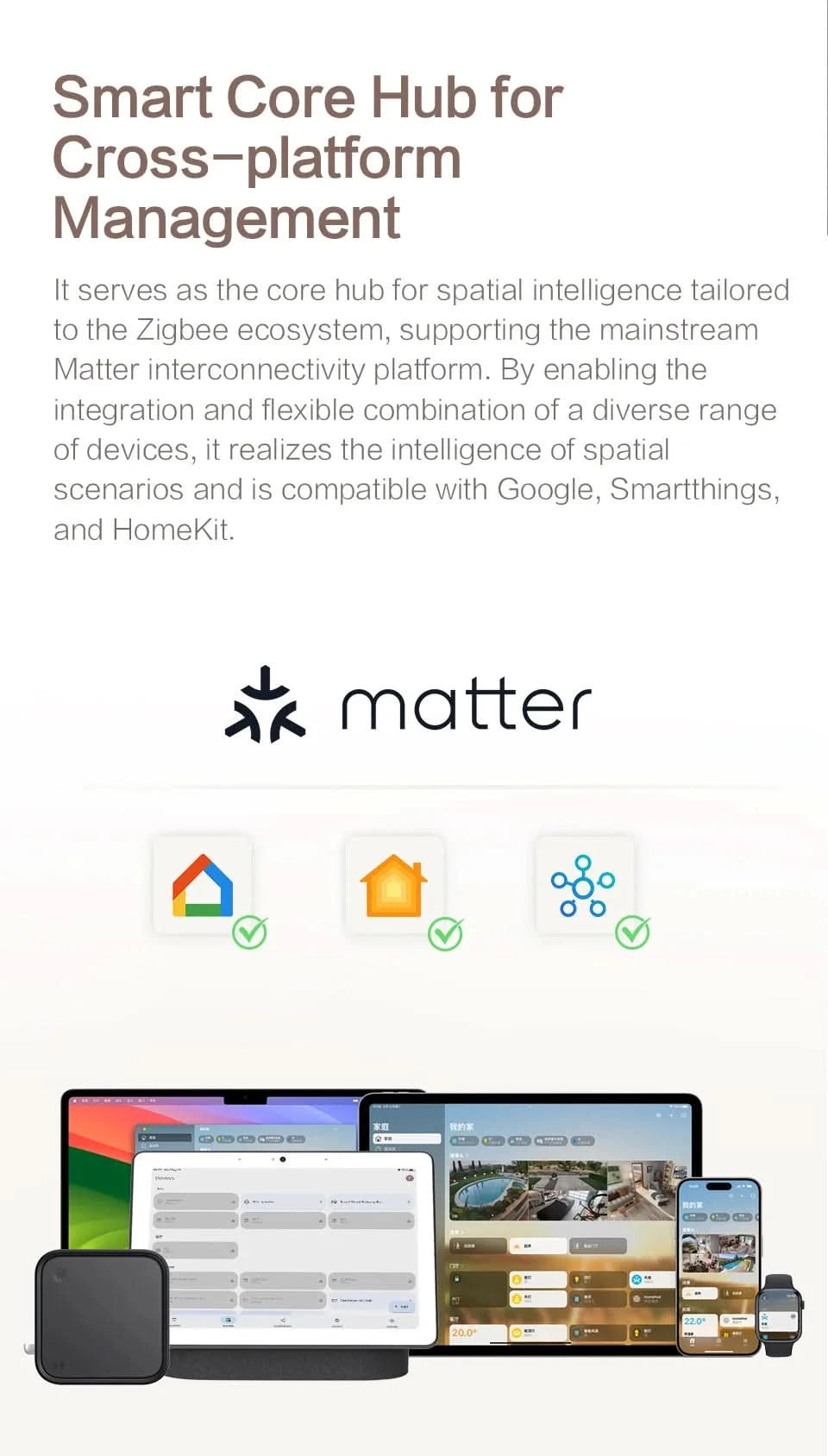 Zemismart Matter Zigbee Hub Work with Tuya Homekit Smartthings Google Home Zigbee Brazil Socket Outlet Smart Wall Tomada 10A 20A