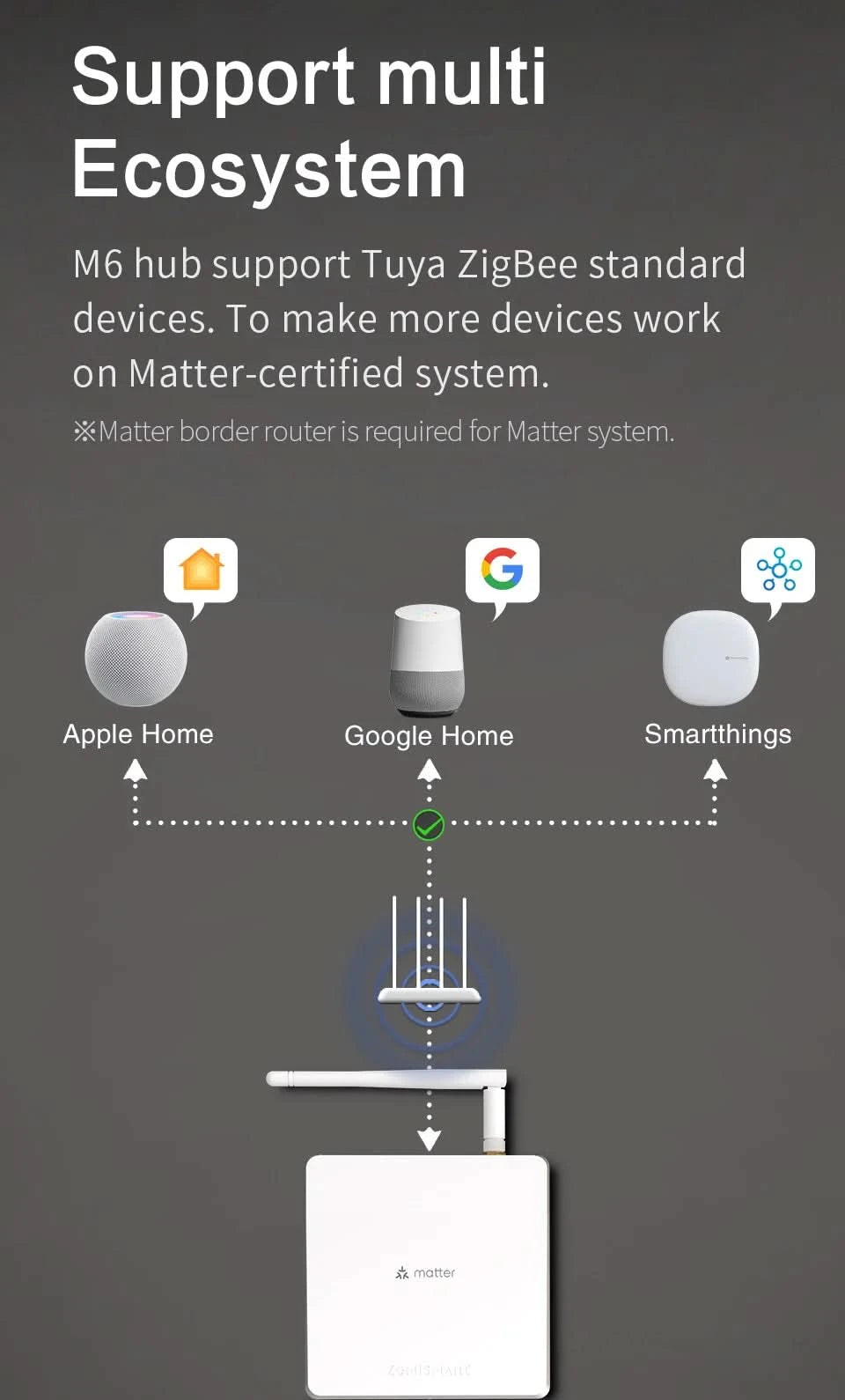 Zemismart Matter Zigbee Hub Work with Tuya Homekit Smartthings Google Home Zigbee Brazil Socket Outlet Smart Wall Tomada 10A 20A