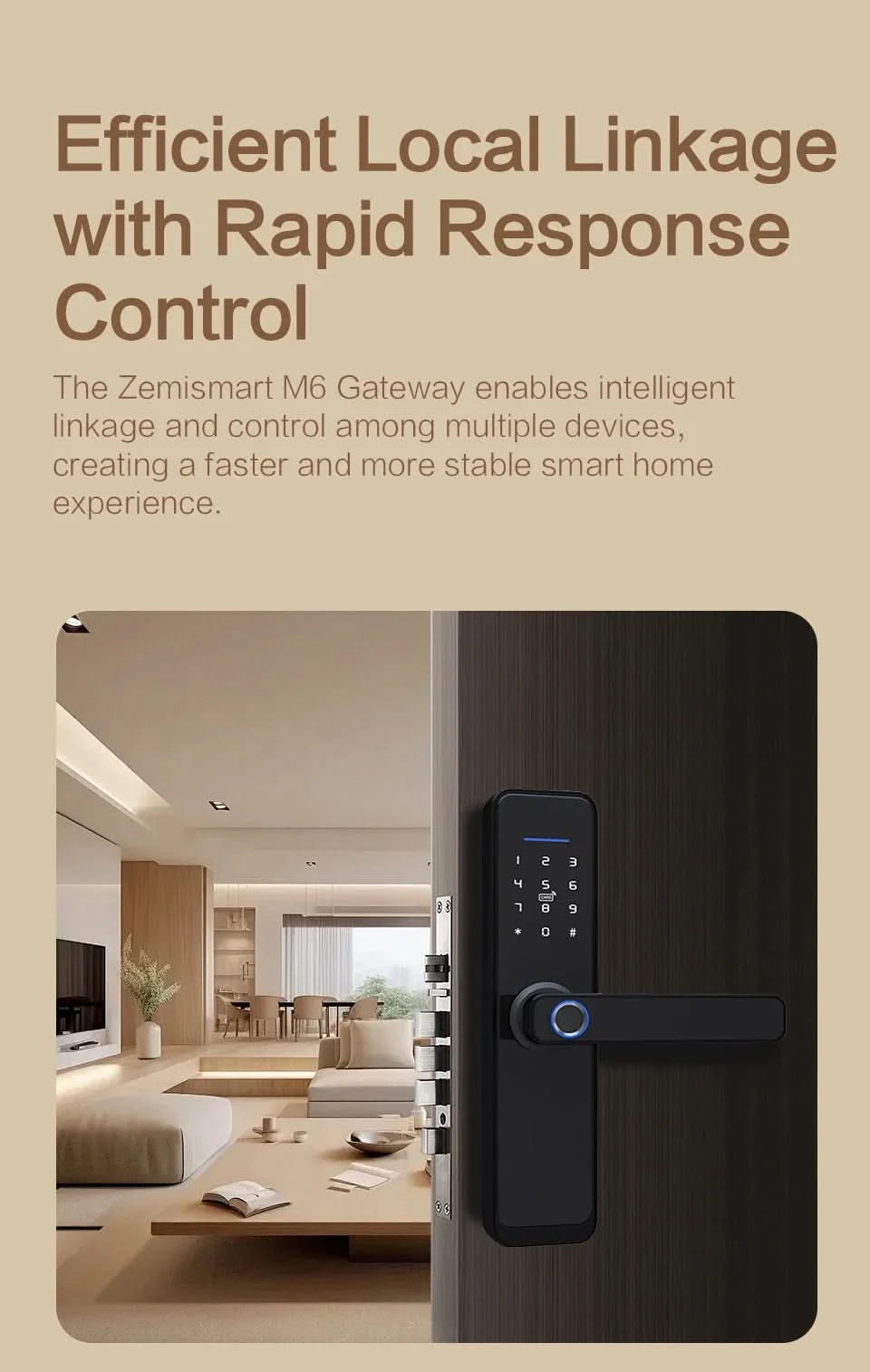 Zemismart Matter Zigbee Hub Work with Tuya Homekit Smartthings Google Home Zigbee Brazil Socket Outlet Smart Wall Tomada 10A 20A