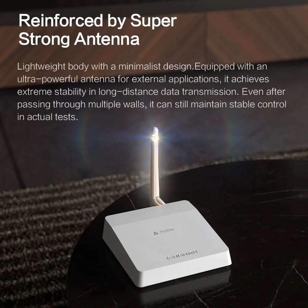 Zemismart Matter Zigbee Hub Work with Tuya Homekit Smartthings Google Home Zigbee Brazil Socket Outlet Smart Wall Tomada 10A 20A