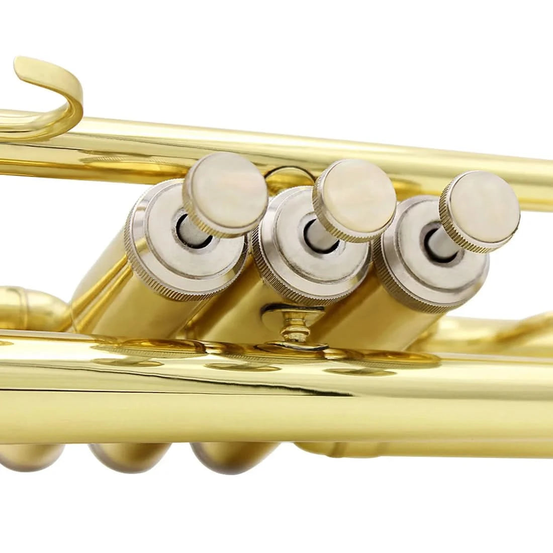 SLADE Bb Trumpet Brass body Gold-Plated B Flat Trumpet Professional Performance Brass Musical Instrument with Case Mouthpiece