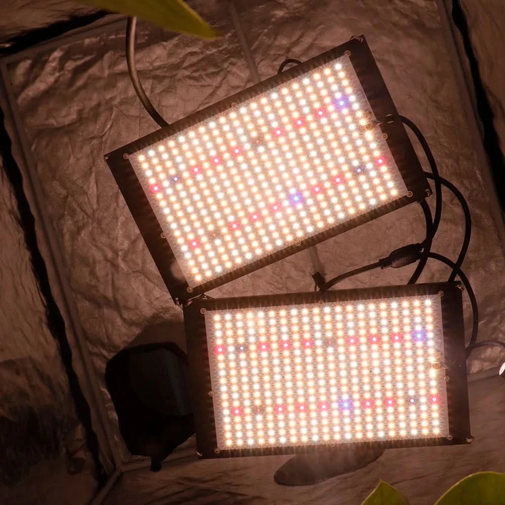 120W 240W Sam-ng LM301h Quantum LED Grow Light Board Lamp IR UV Full Spectrum Phytolamp For Plants Hydroponics MeanWell Driver