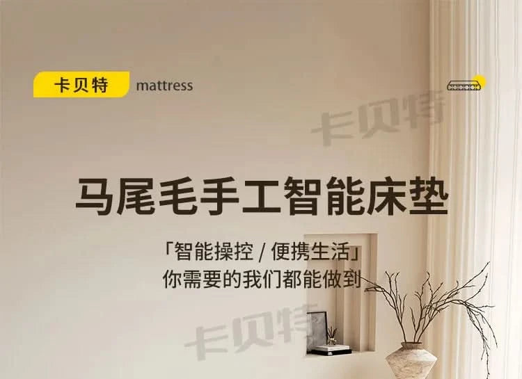Adults Lounge Mattresses Full Size Relaxing Sleeping Comfortable Mattresses Minimalist Couple Colchones Matrimoniales Furniture