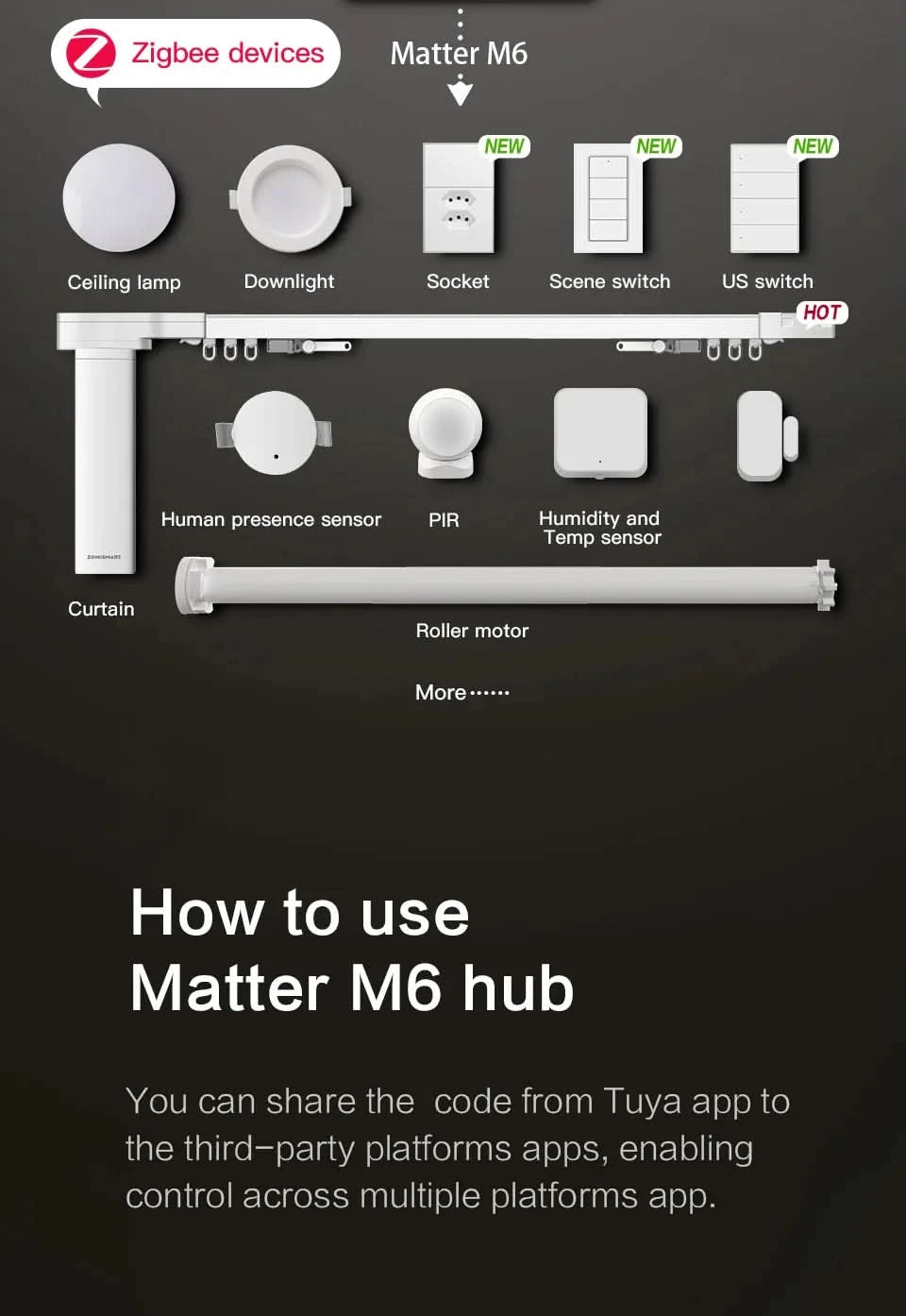 Zemismart Matter Zigbee Hub Work with Tuya Homekit Smartthings Google Home Zigbee Brazil Socket Outlet Smart Wall Tomada 10A 20A