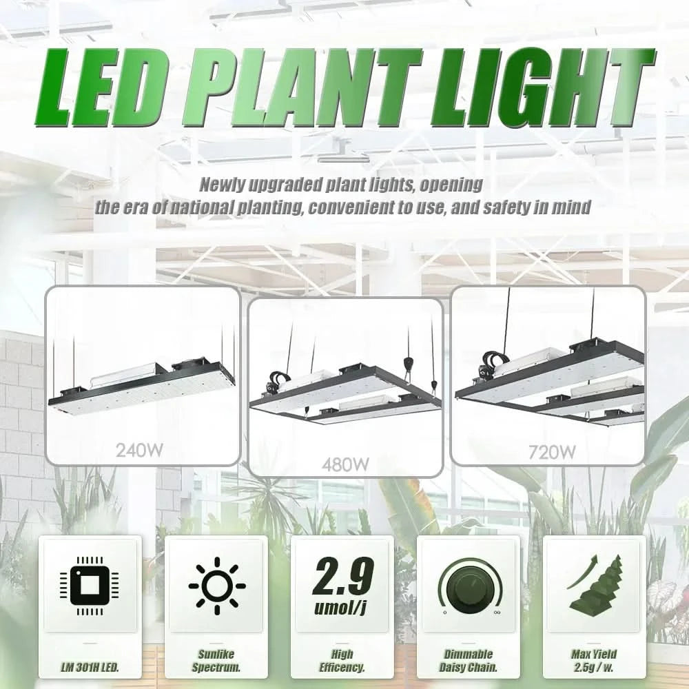 LM301H LED Grow Light V3 Board With Meanwell Driver 240W 480W 720W 3000K/3500K 660NM UV IR Growbox For Plants Veg Bloom
