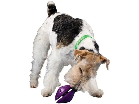 Busy Buddy Twist N Treat PetSafe Rubber Dog Toy