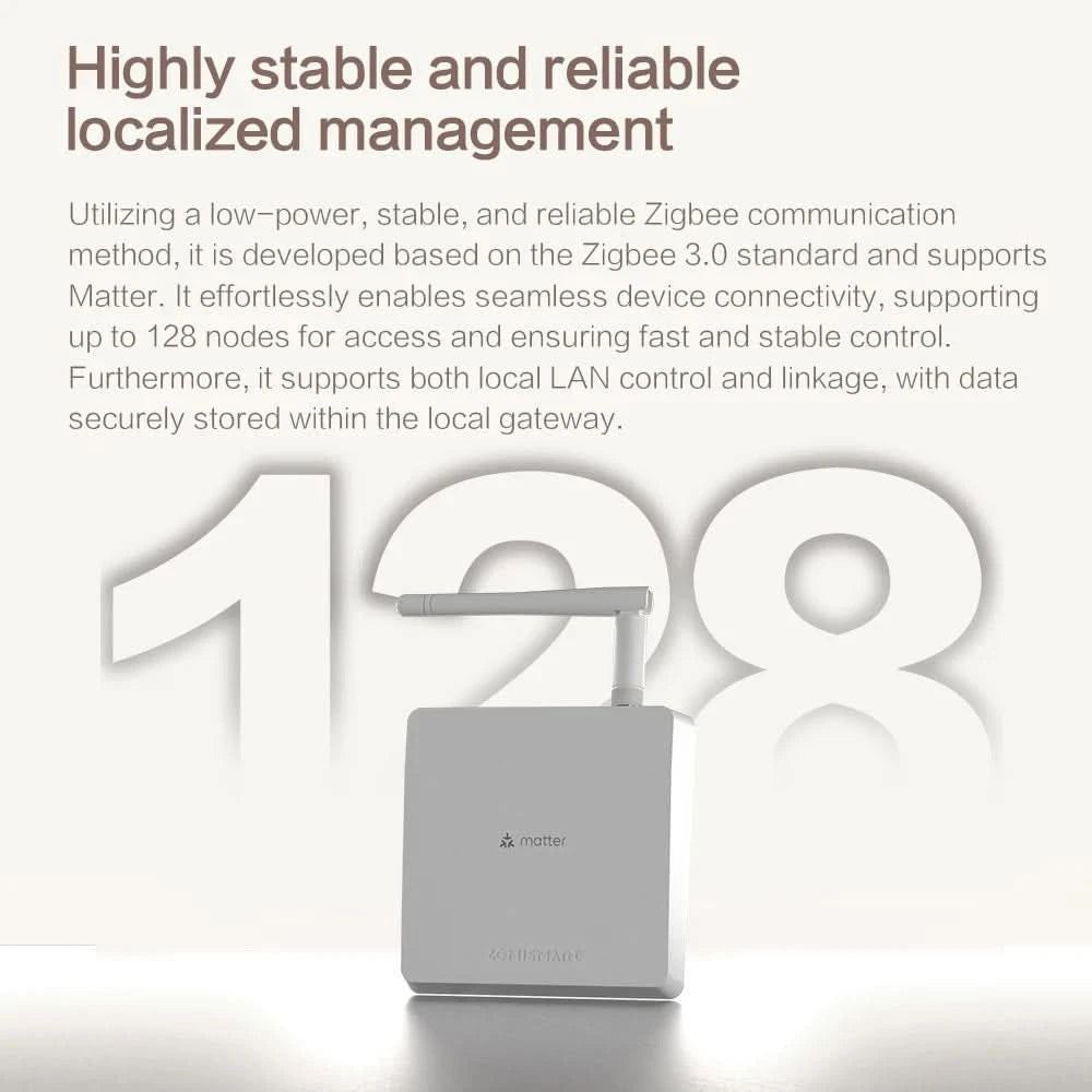 Zemismart Matter Zigbee Hub Work with Tuya Homekit Smartthings Google Home Zigbee Brazil Socket Outlet Smart Wall Tomada 10A 20A